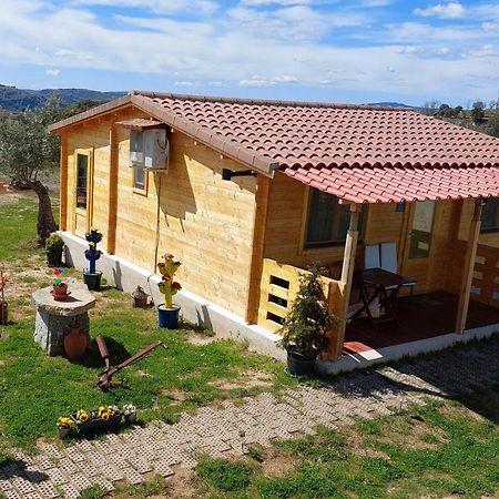 El Refugio De Las Arribes Villarino de los Aires Eksteriør bilde